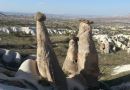 Kapadokya