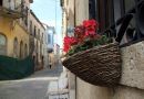 İzmir- Alaçatı-Çeşme Turu