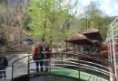 Alanya Paketi-Haziran & Ekim Dönemi