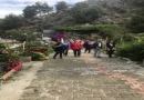 Dalyan Paketi-Temmuz&Ağustos&Eylül Dönemi